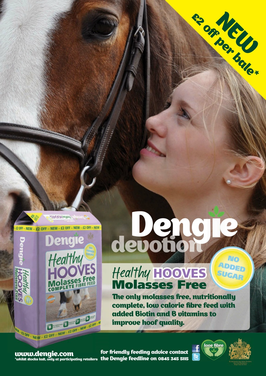 Horse&Rider Magazine - UK equestrian magazine for Horse and Rider Preview Pages