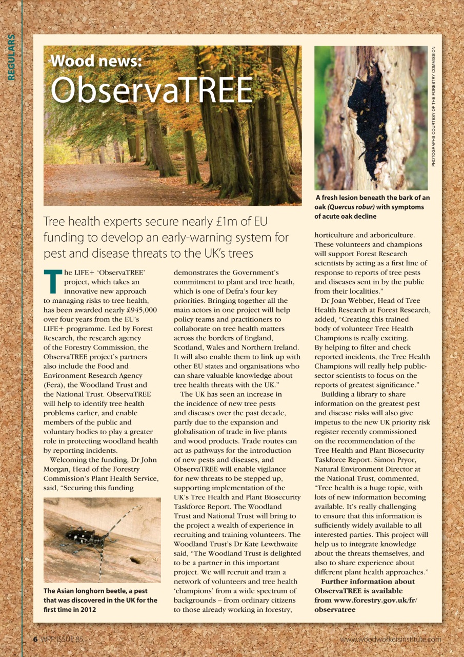 Woodworking Crafts Magazine Preview Pages
