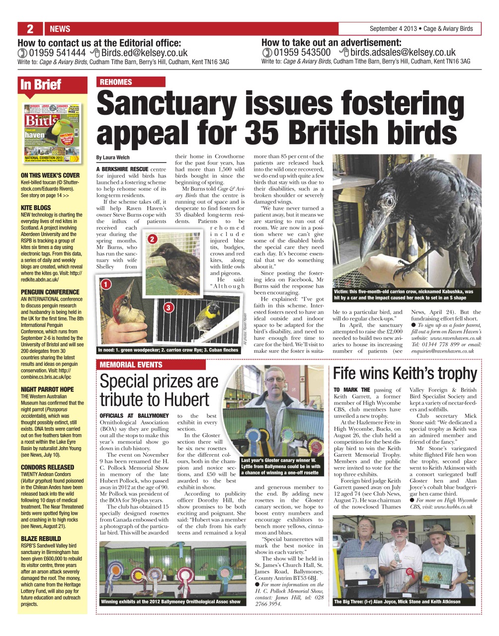 Cage & Aviary Birds Preview Pages