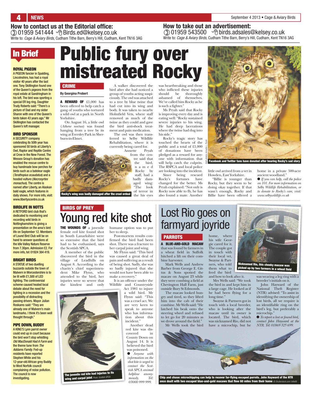 Cage & Aviary Birds Preview Pages