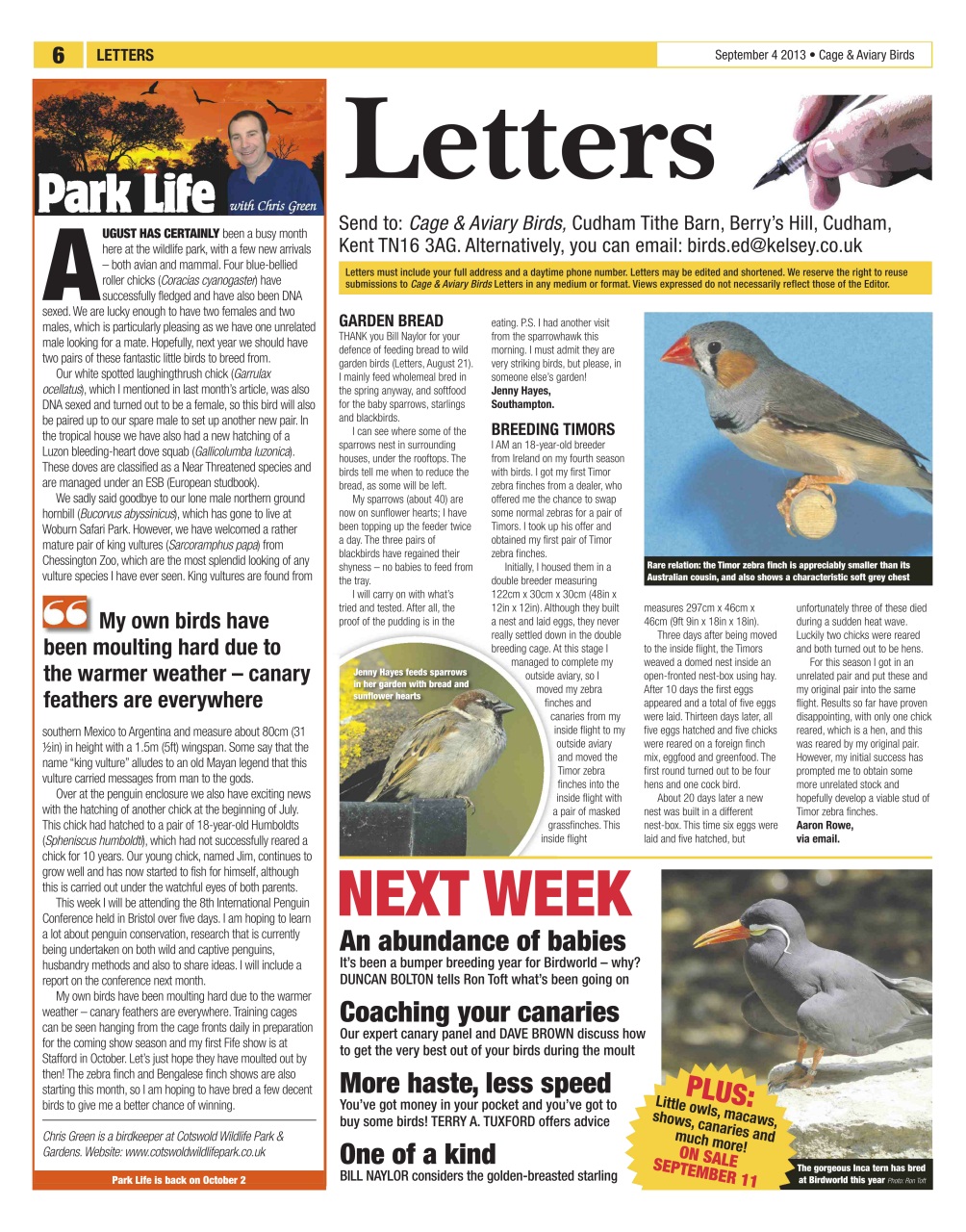 Cage & Aviary Birds Preview Pages