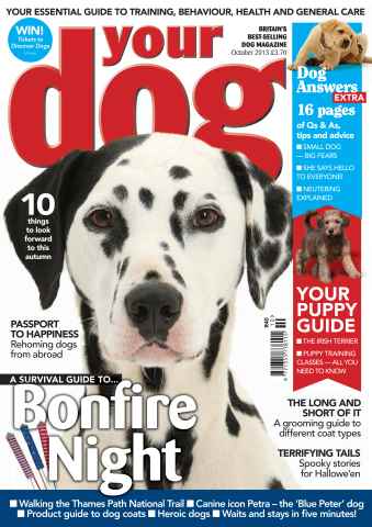 Your Dog issue Your Dog Magazine October 2013