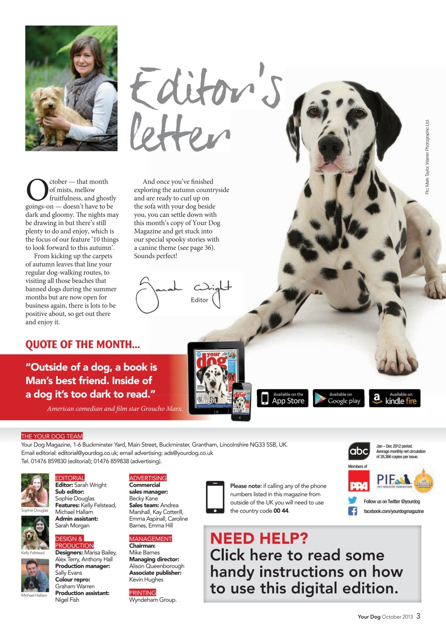 Your Dog Preview Pages