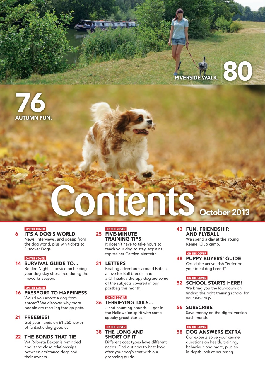 Your Dog Preview Pages