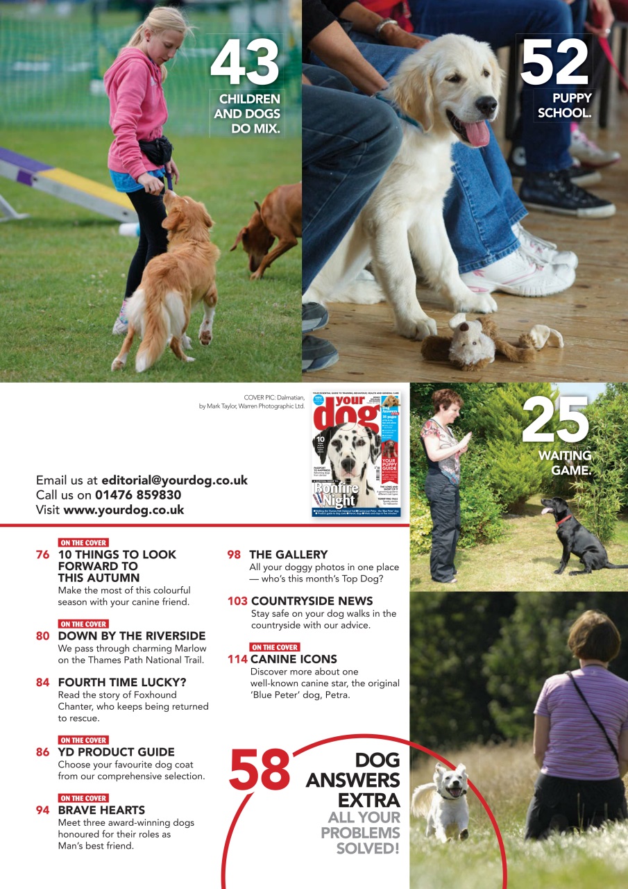 Your Dog Preview Pages