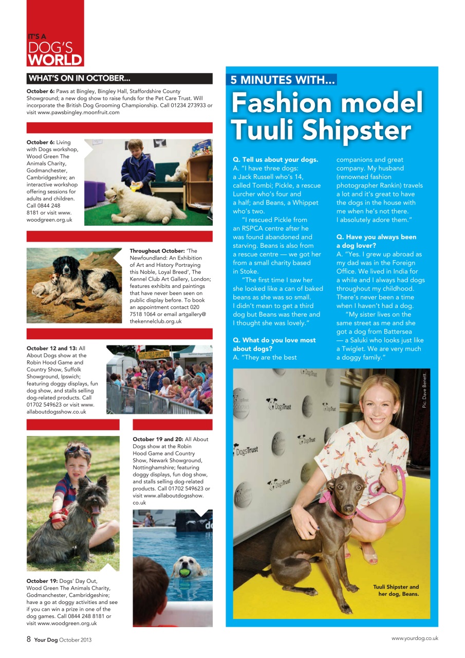 Your Dog Preview Pages