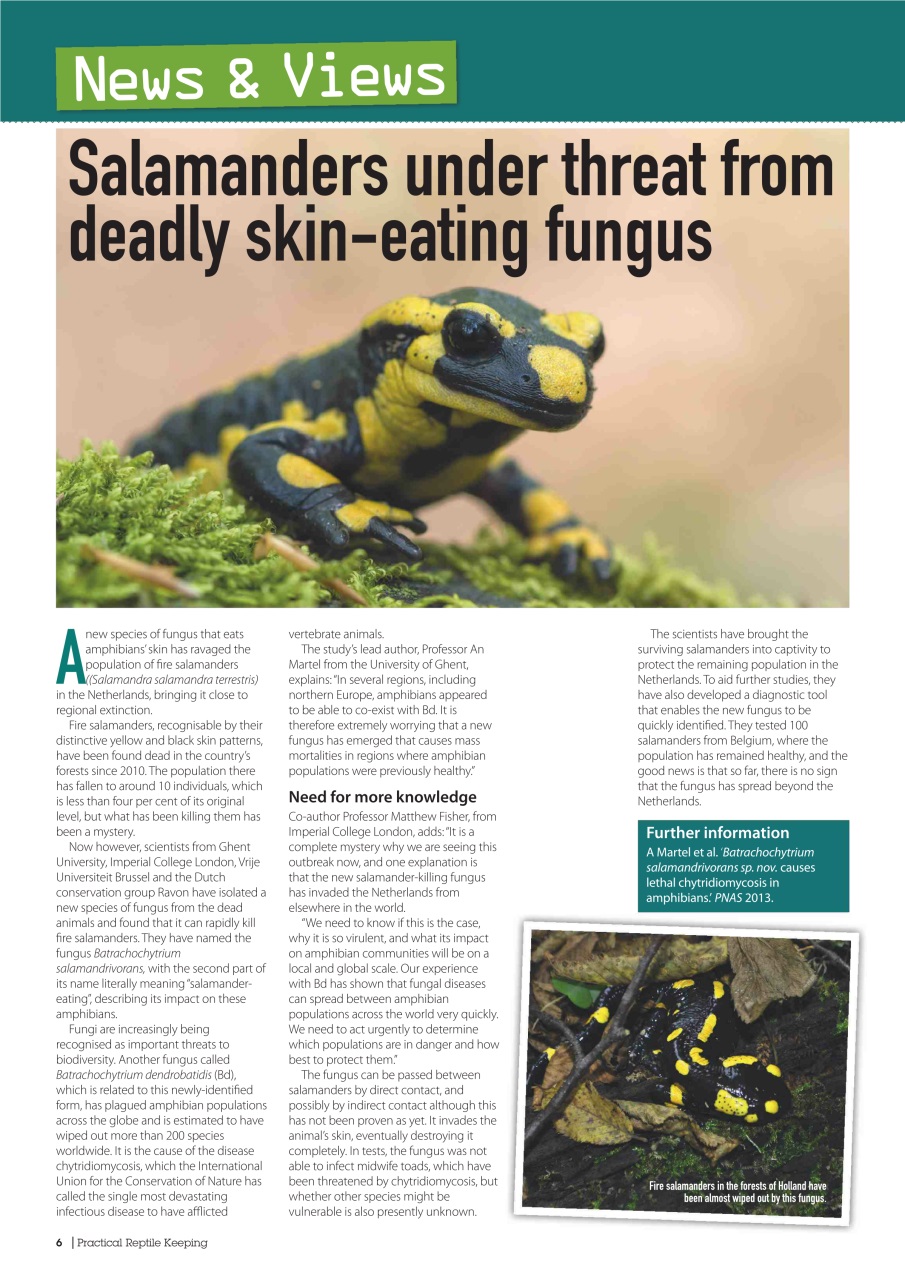 Practical Reptile Keeping Preview Pages