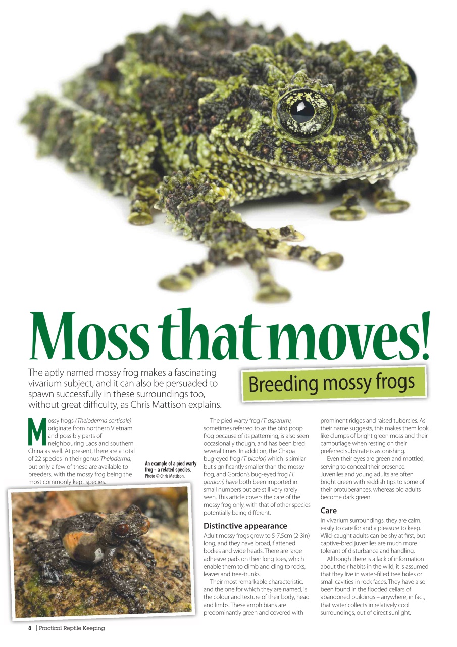 Practical Reptile Keeping Preview Pages