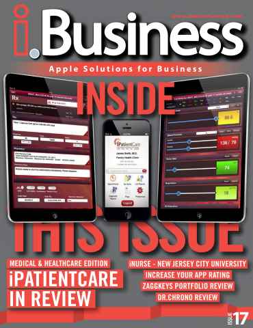 I.Business issue Issue 17