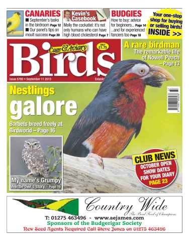 Cage & Aviary Birds issue No.5769 Nestlings Galore