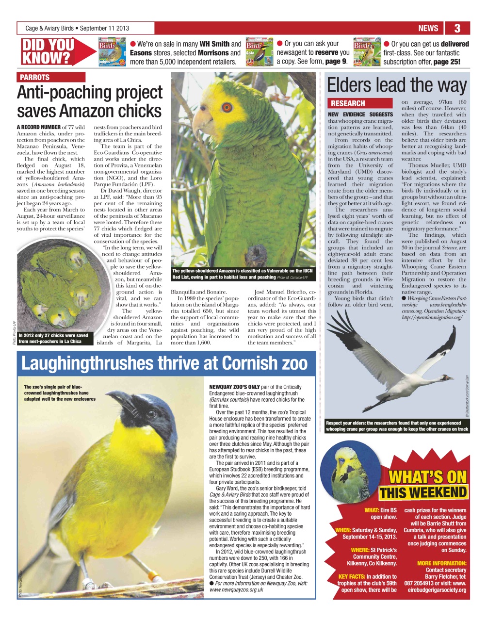 Cage & Aviary Birds Preview Pages