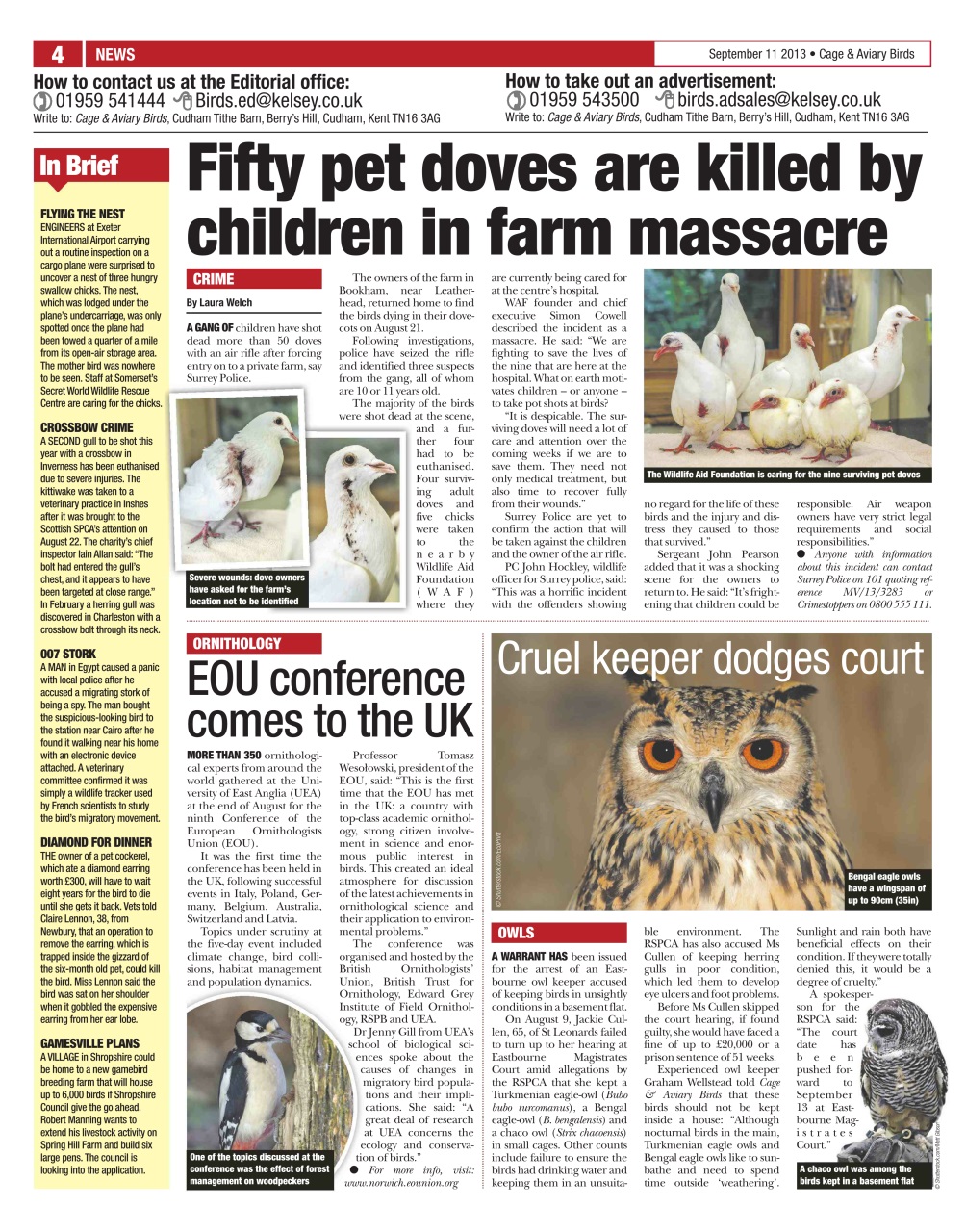 Cage & Aviary Birds Preview Pages