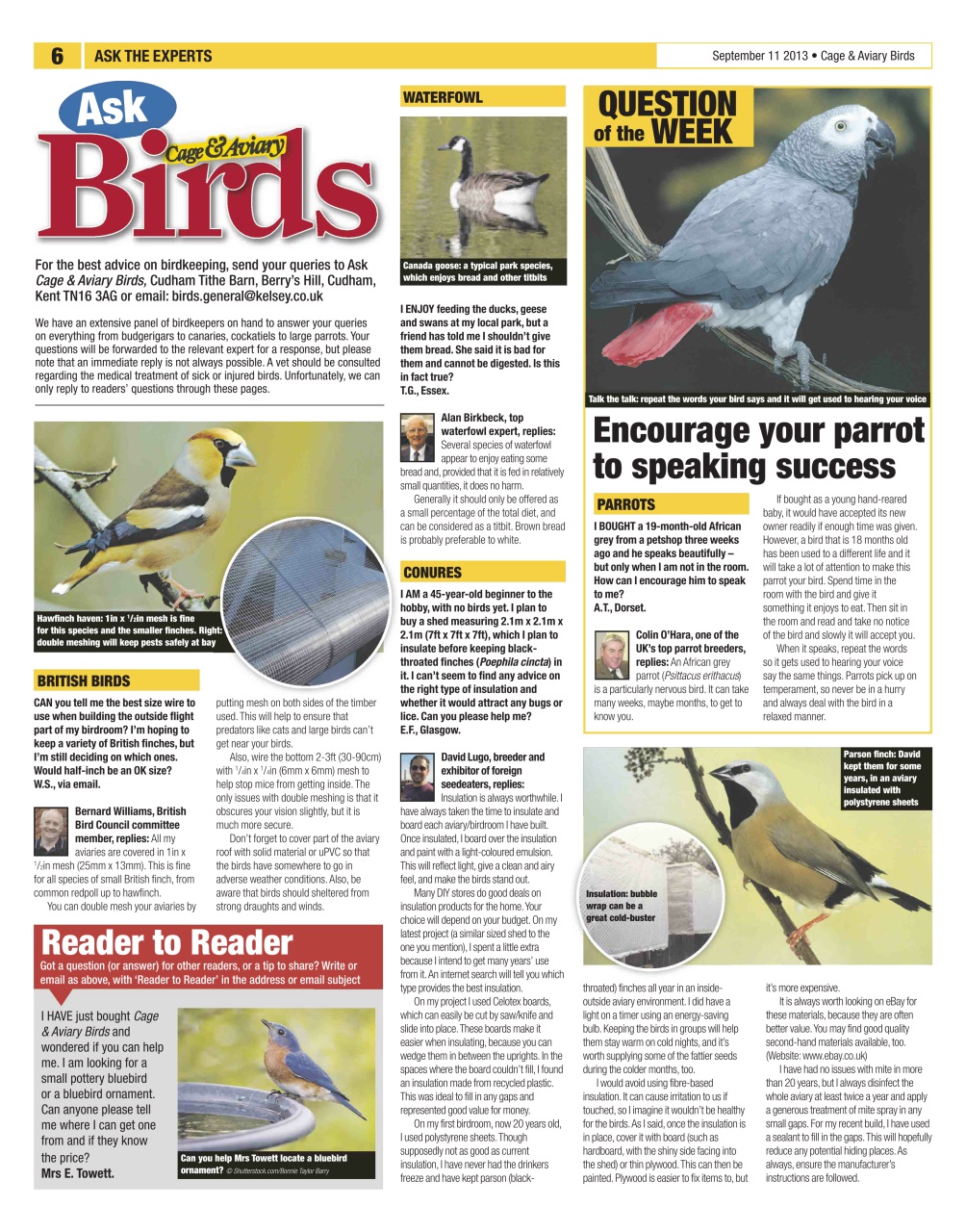 Cage & Aviary Birds Preview Pages