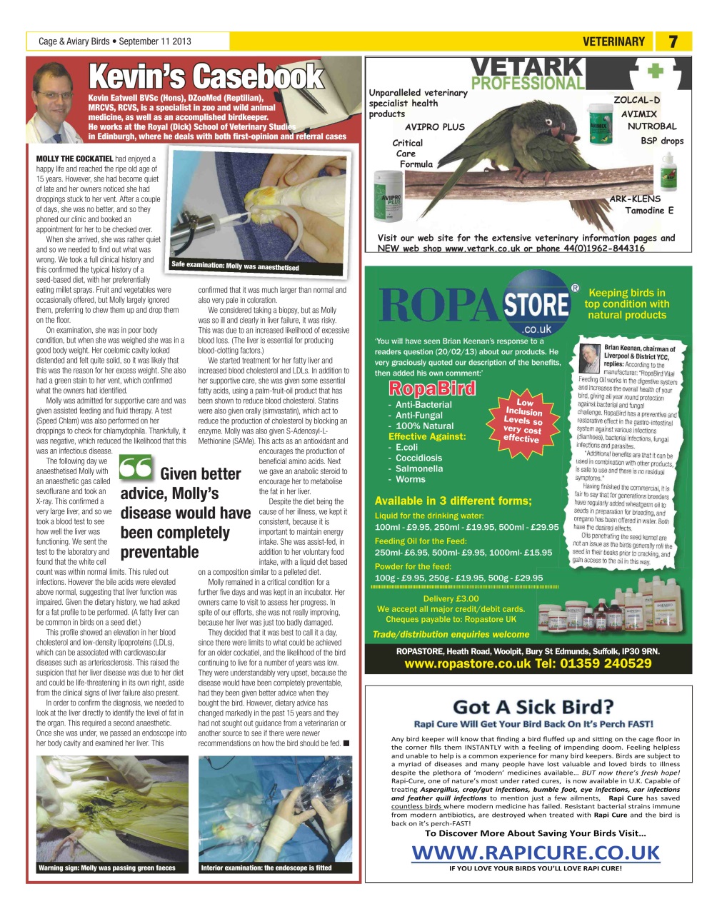 Cage & Aviary Birds Preview Pages