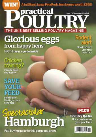 Practical Poultry issue No.116 Glorious Eggs