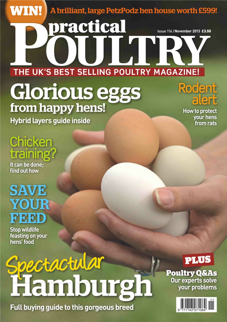 Practical Poultry Preview Pages