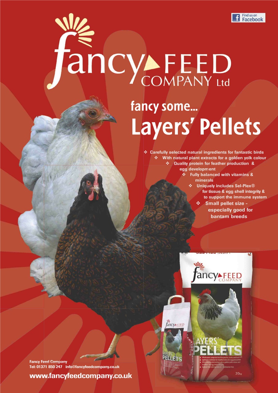 Practical Poultry Preview Pages