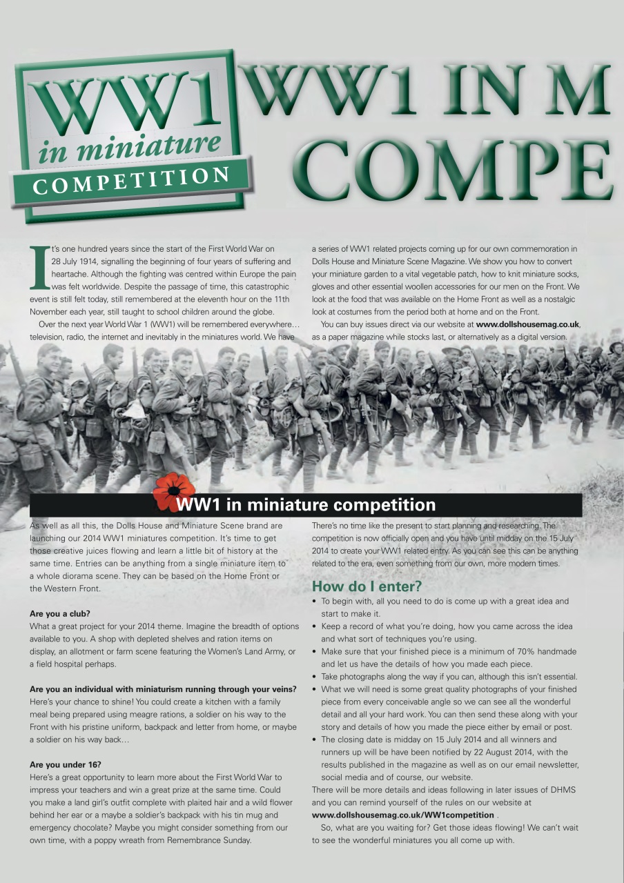 Dolls House Projects-Special Ed. Preview Pages