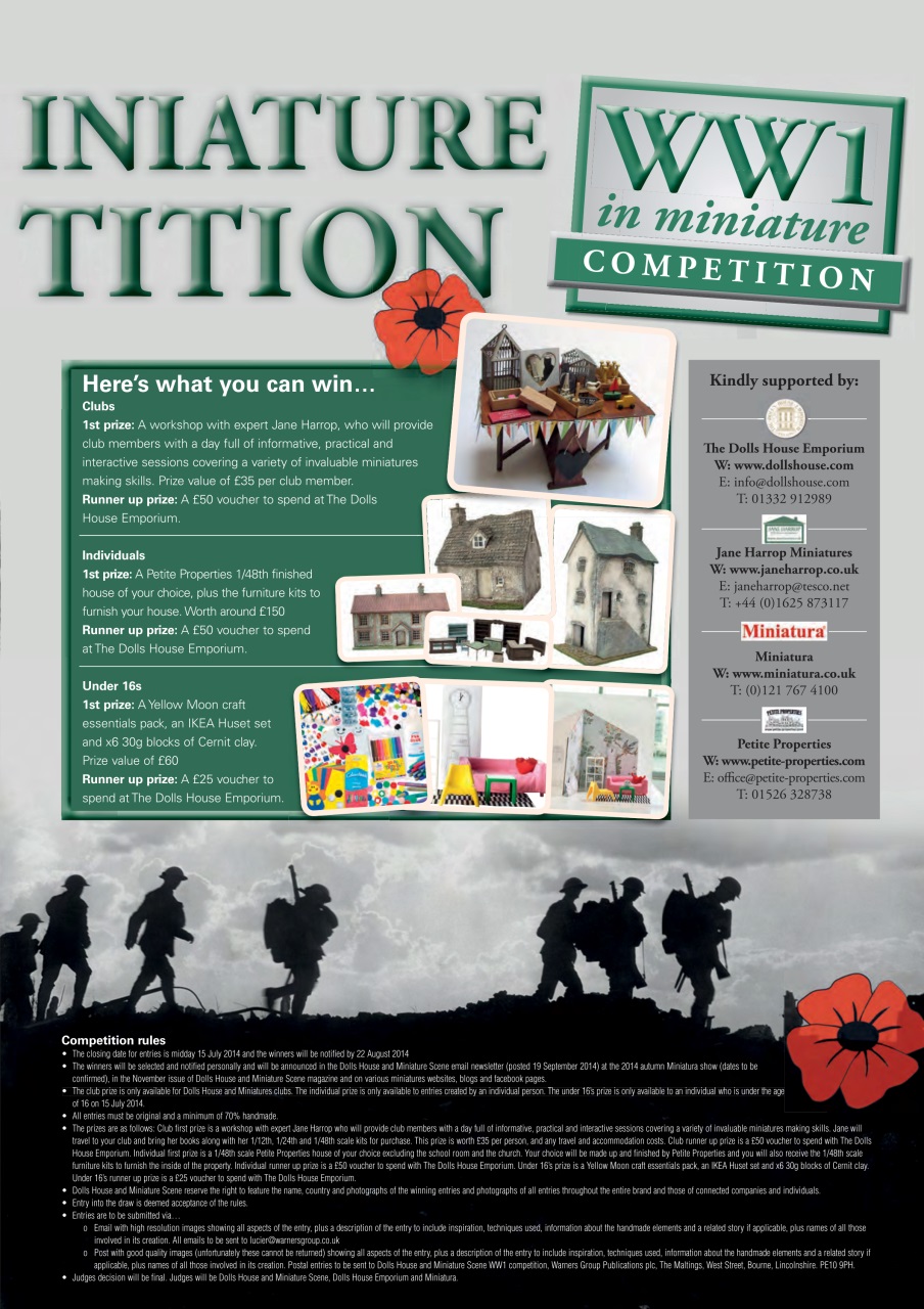 Dolls House Projects-Special Ed. Preview Pages