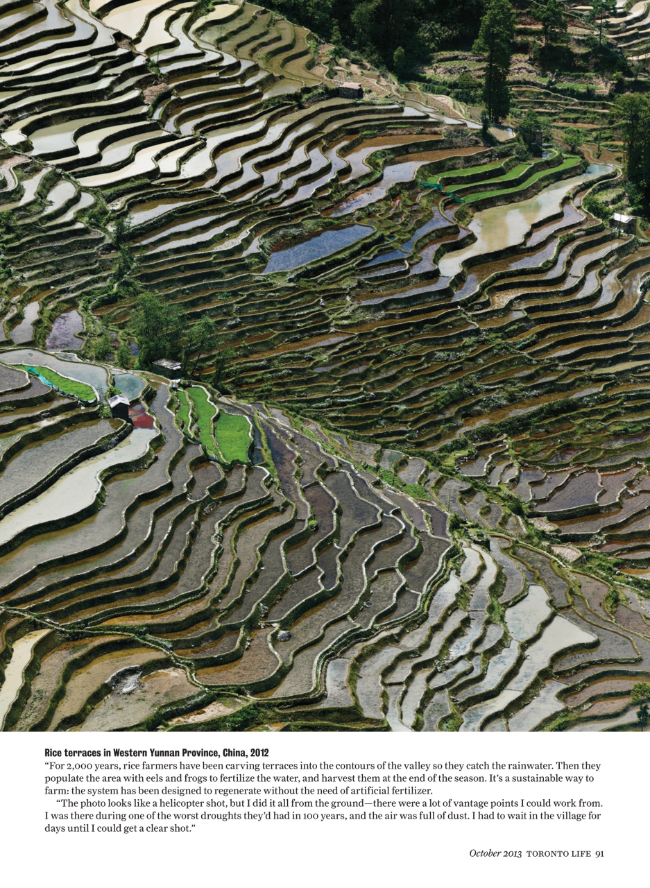 Toronto Life Preview Pages