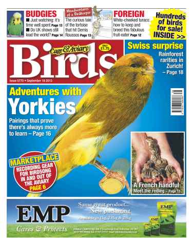Cage & Aviary Birds issue No.5770 Adventures with Yorkies