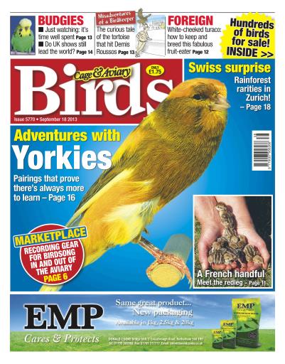 Cage & Aviary Birds issue 