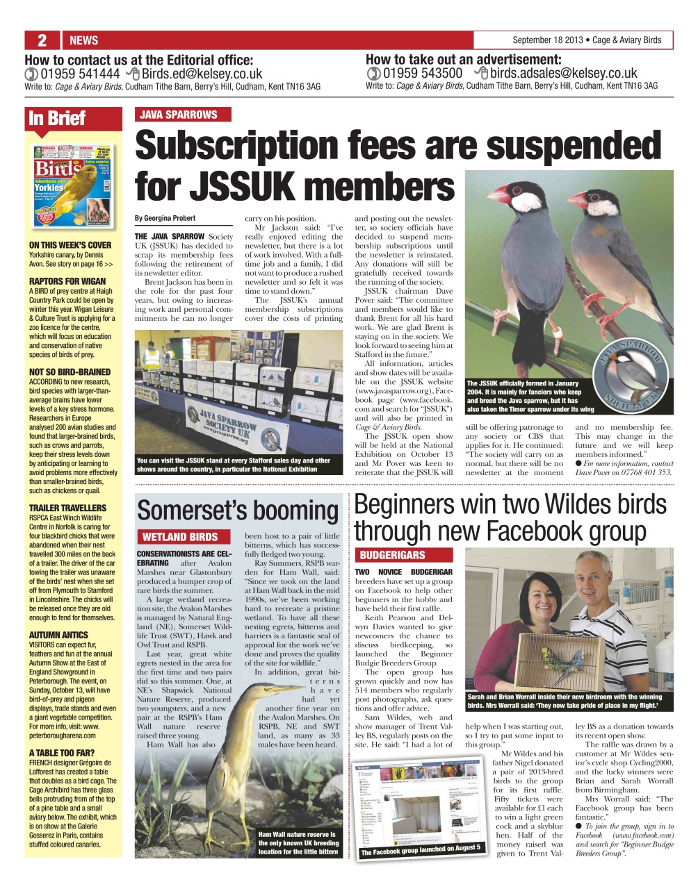 Cage & Aviary Birds Preview Pages