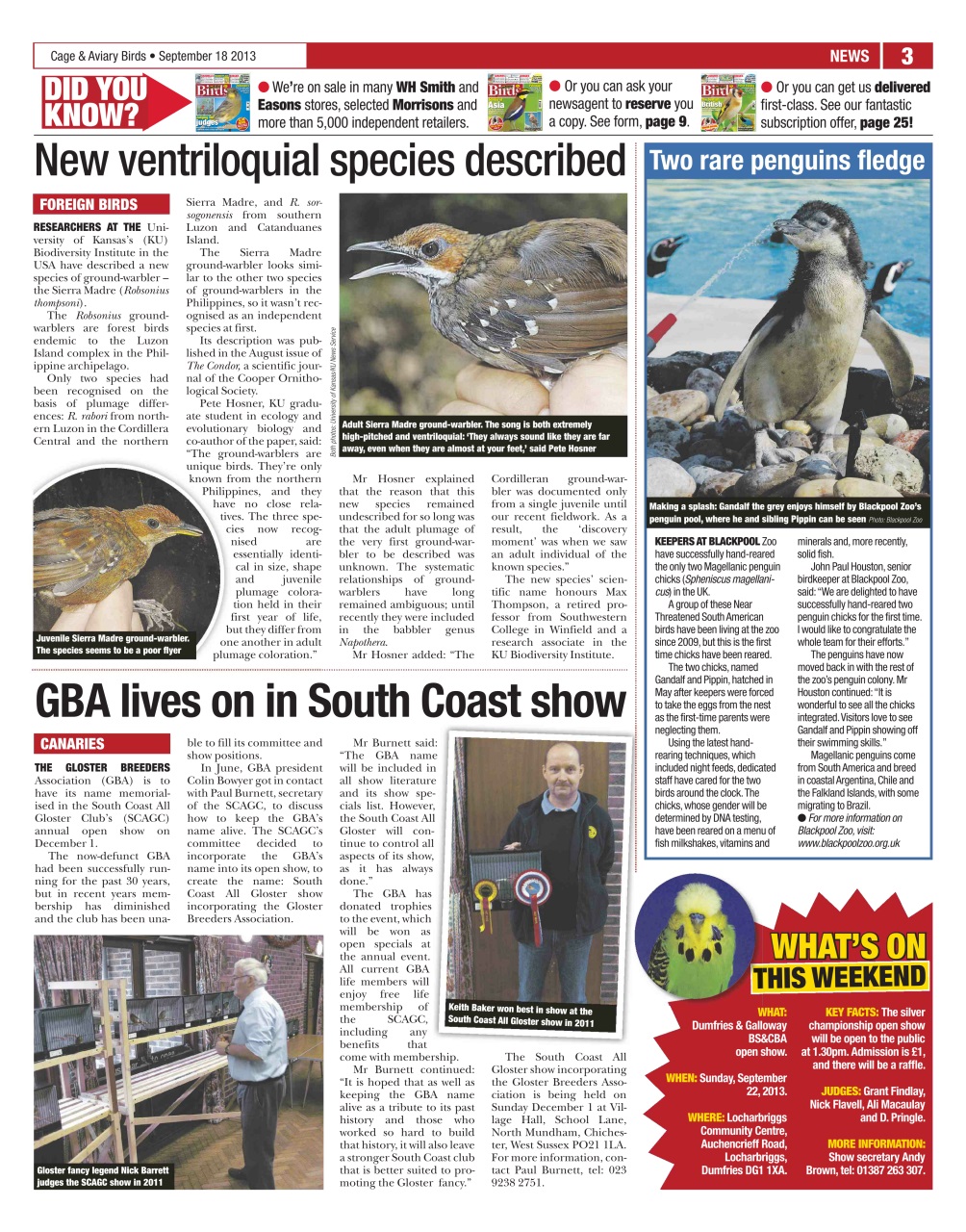 Cage & Aviary Birds Preview Pages