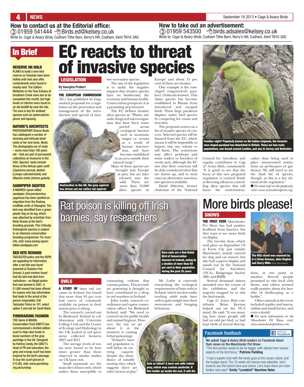 Cage & Aviary Birds Preview Pages