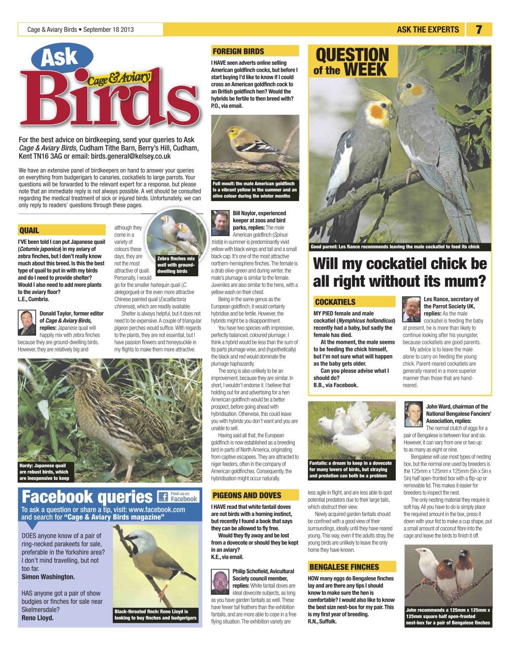 Cage & Aviary Birds Preview Pages