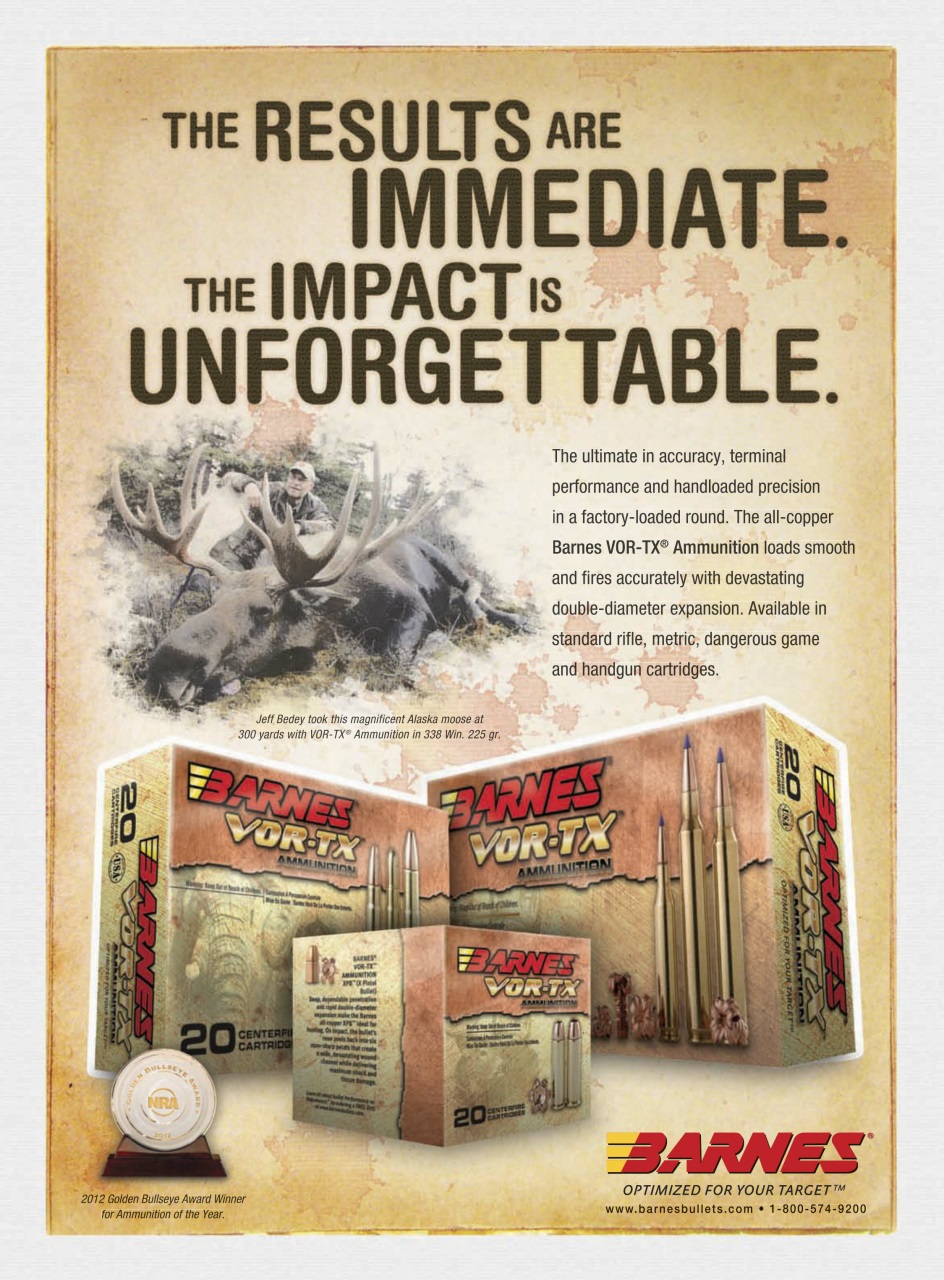 Gun World Preview Pages