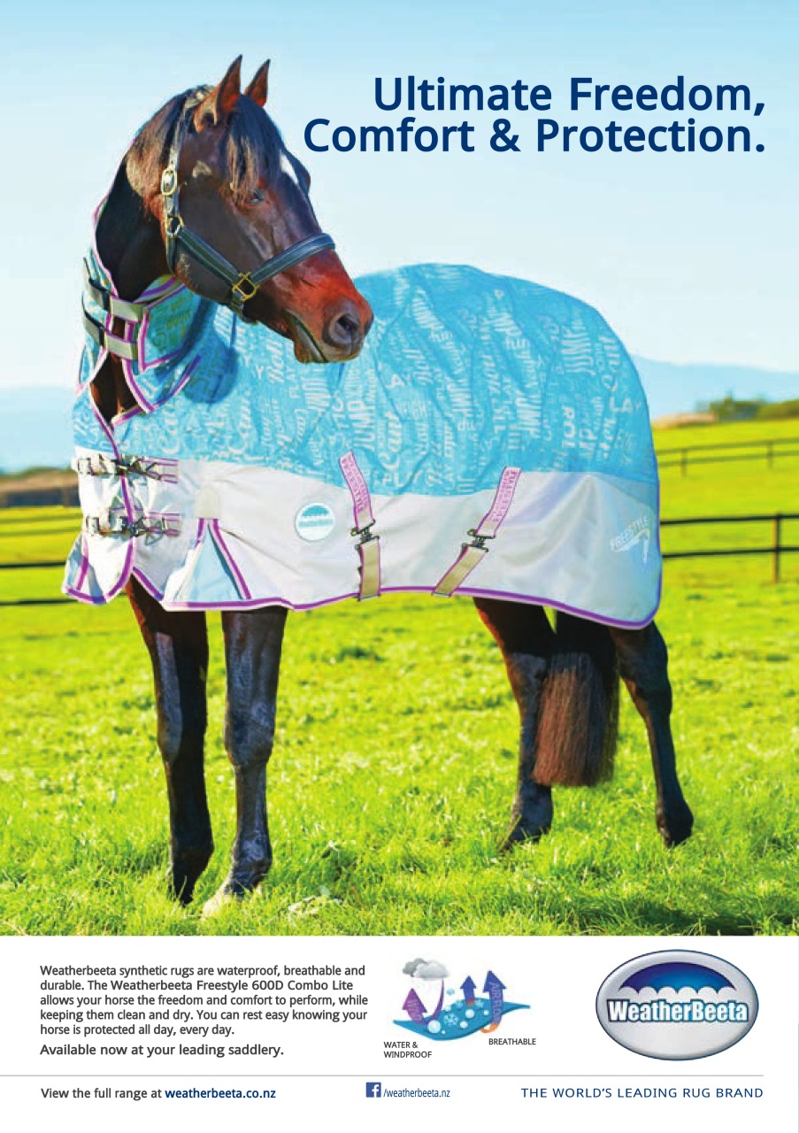 The Horse Magazine Preview Pages