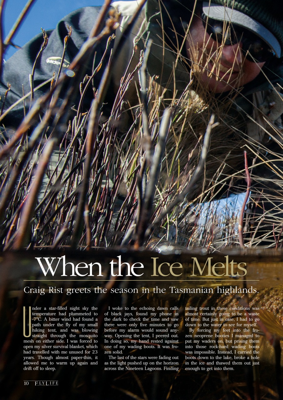 FlyLife Preview Pages