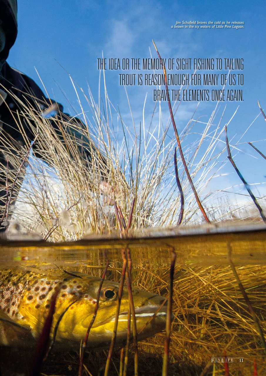 FlyLife Preview Pages