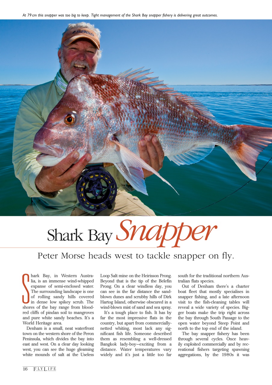 FlyLife Preview Pages