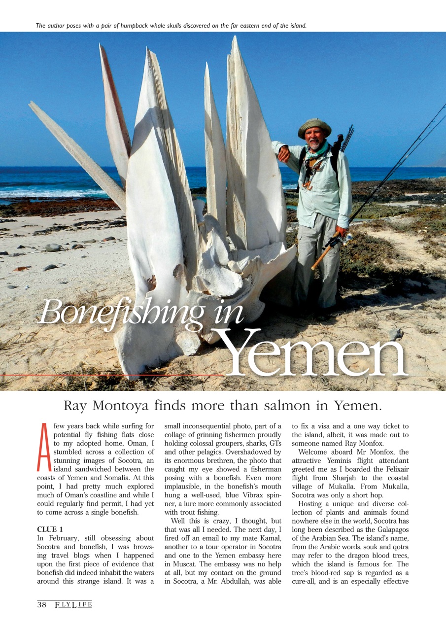 FlyLife Preview Pages