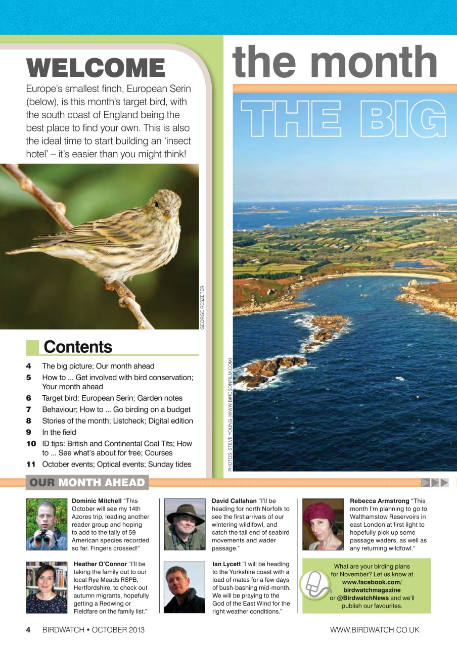 Birdwatch Magazine Preview Pages