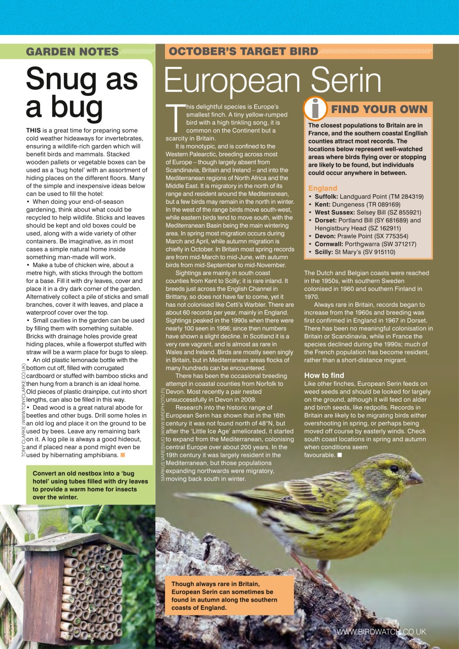 Birdwatch Magazine Preview Pages