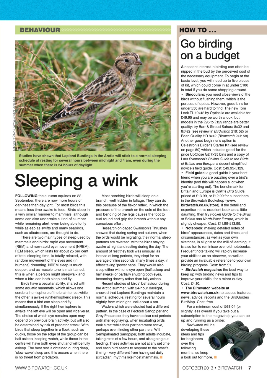 Birdwatch Magazine Preview Pages