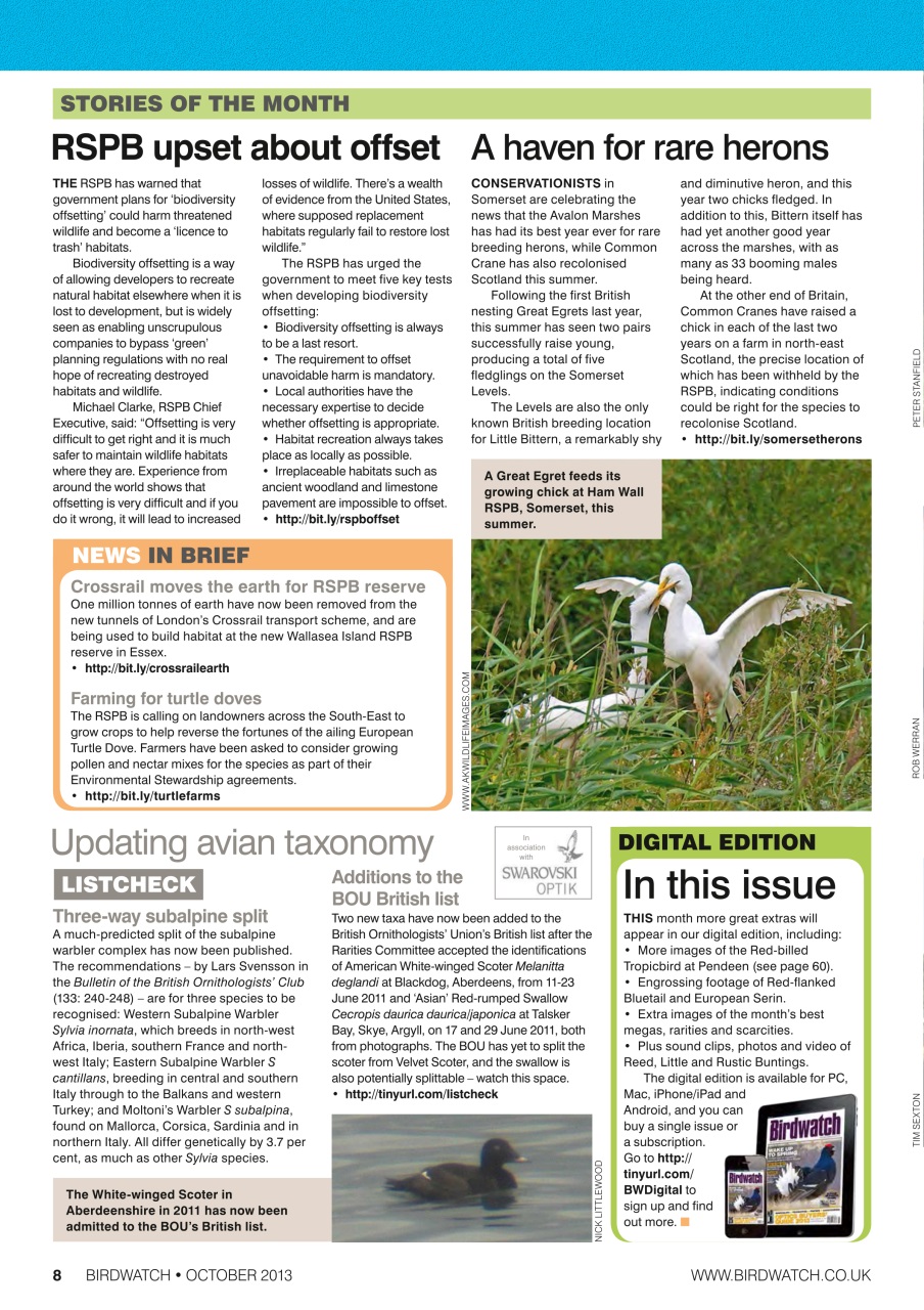 Birdwatch Magazine Preview Pages
