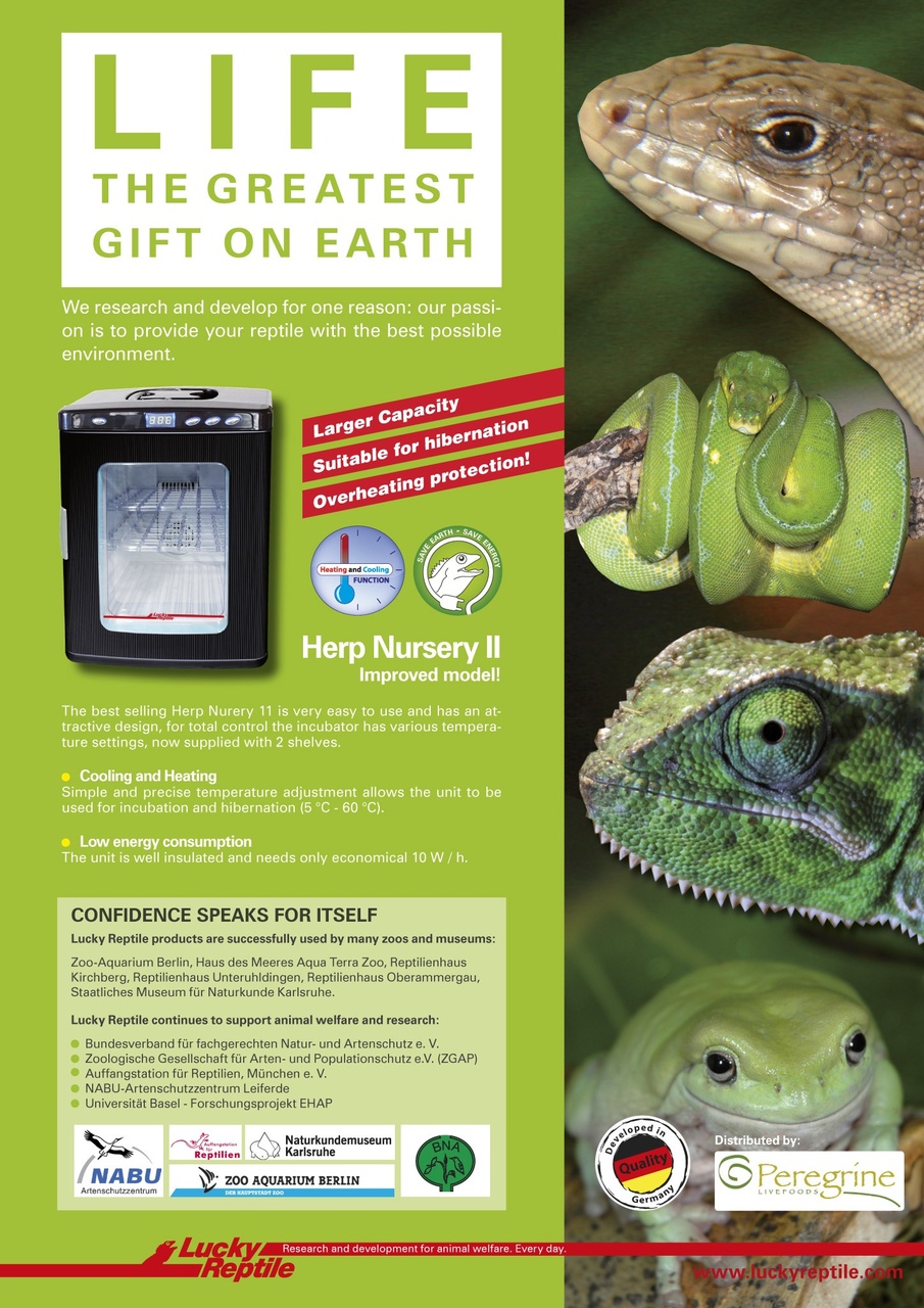 Practical Reptile Keeping Preview Pages