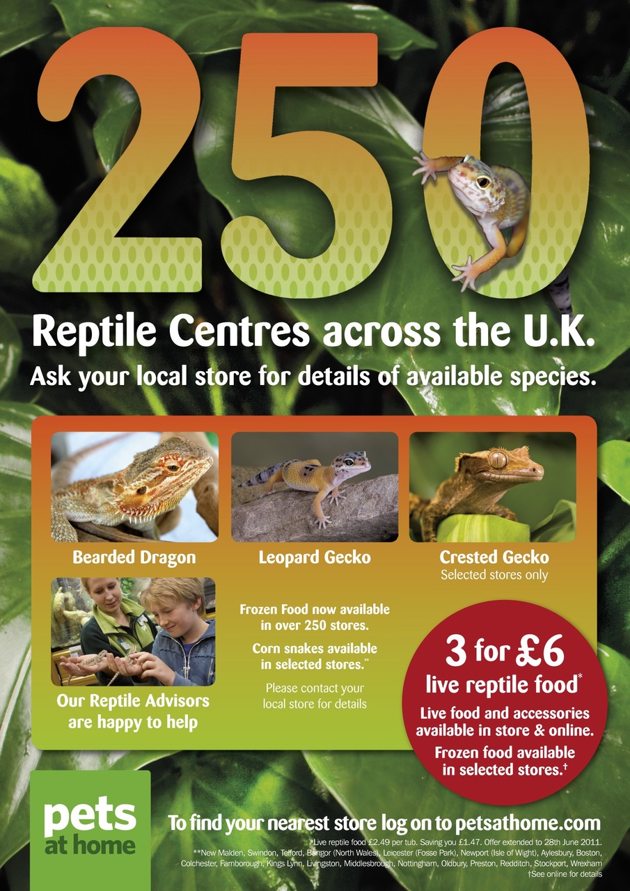 Practical Reptile Keeping Preview Pages