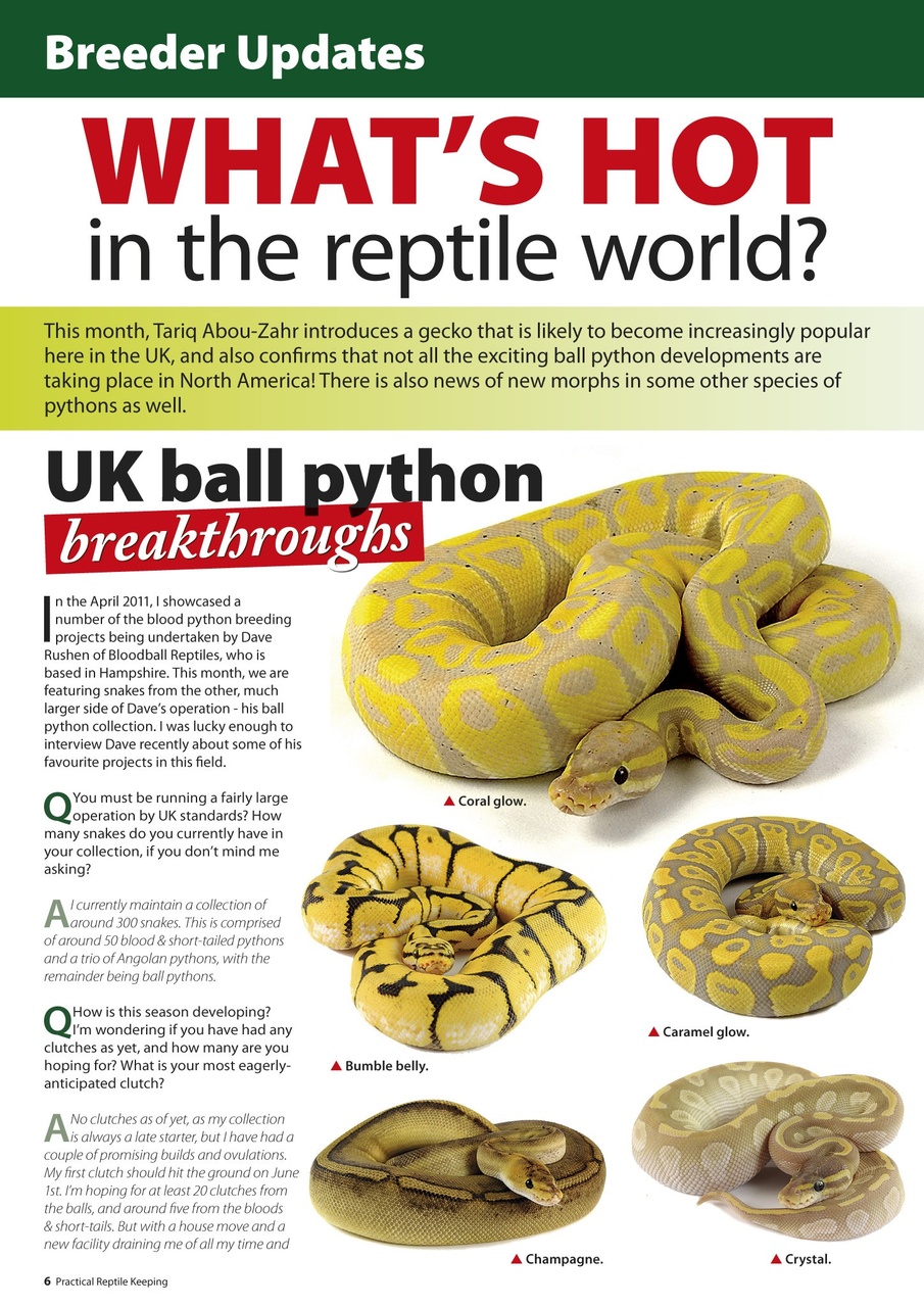 Practical Reptile Keeping Preview Pages