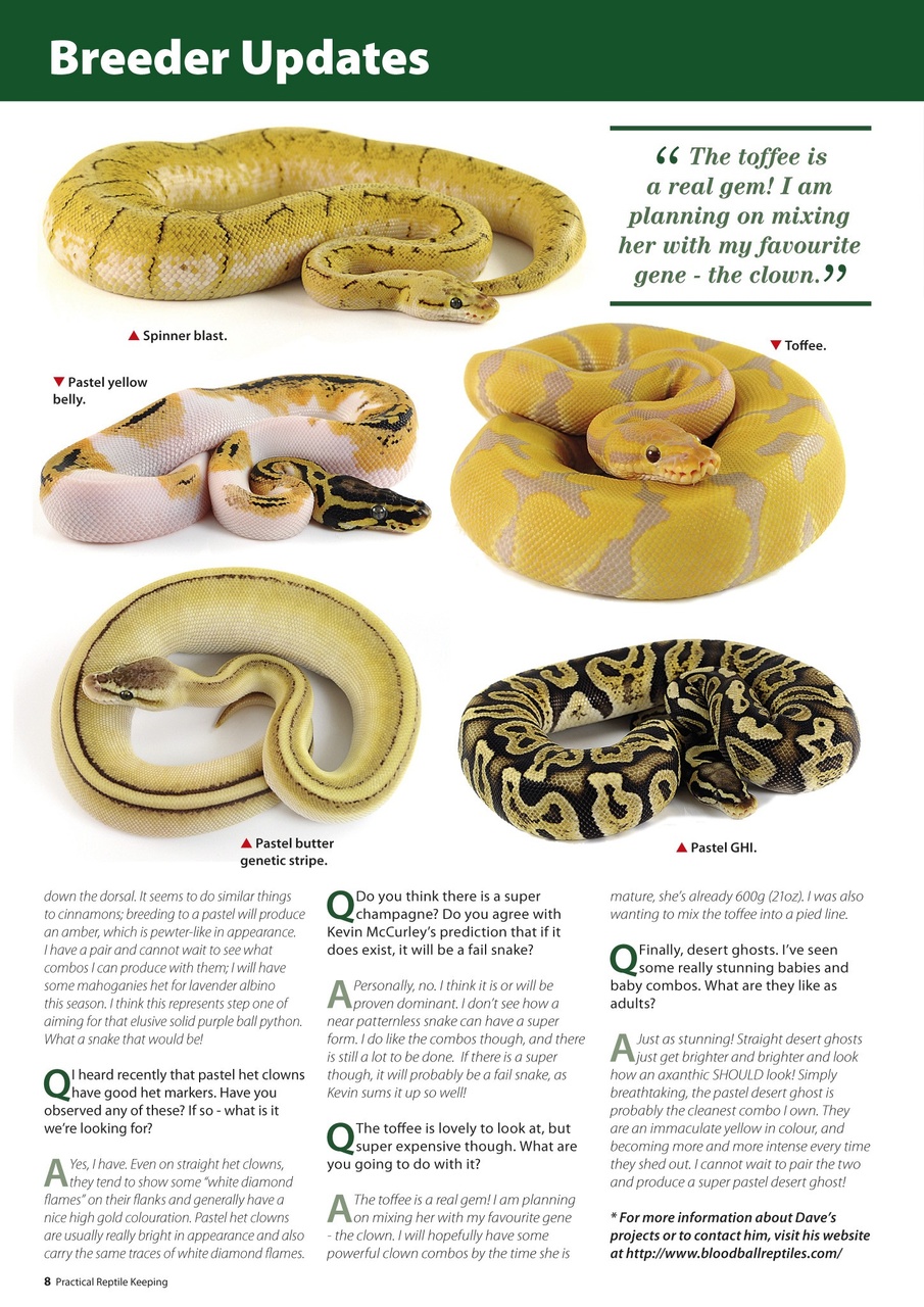 Practical Reptile Keeping Preview Pages