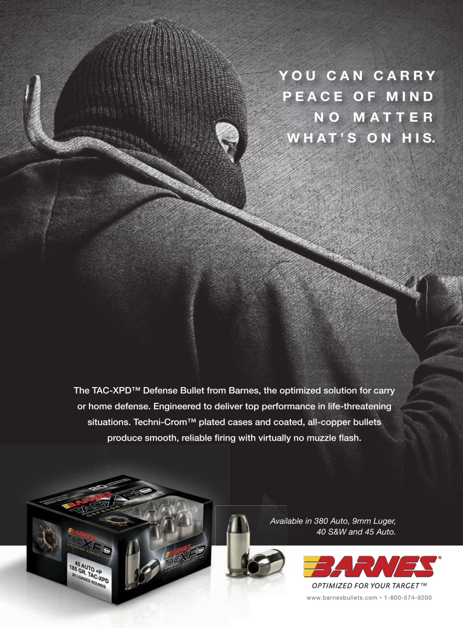 Gun World Preview Pages