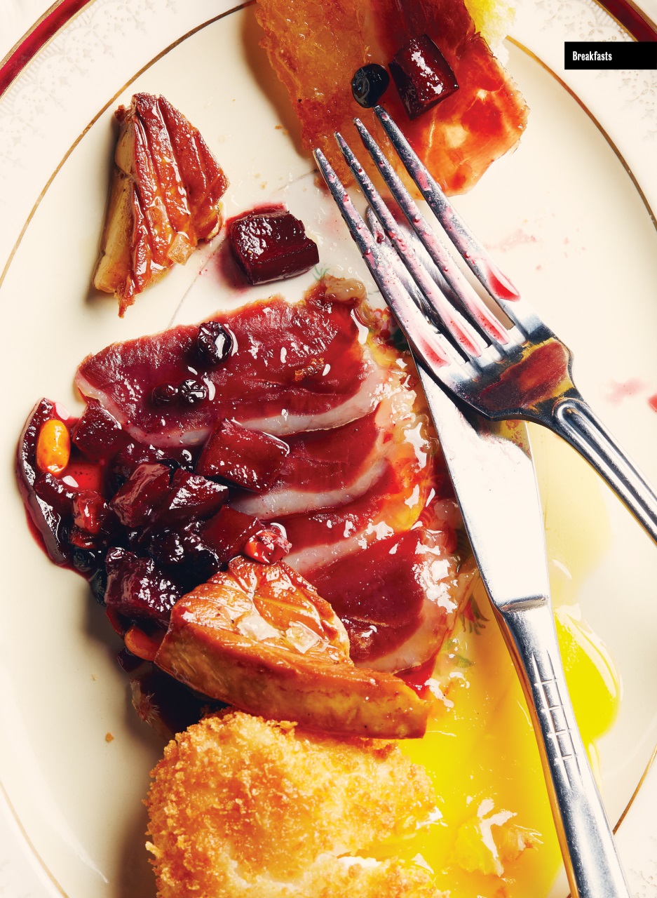 Toronto Life Preview Pages