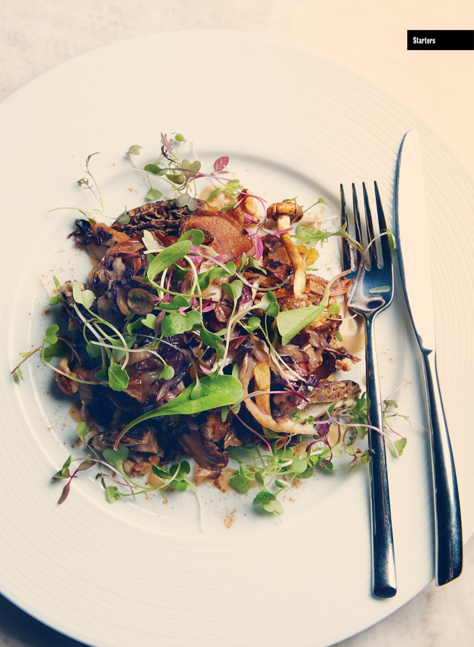 Toronto Life Preview Pages