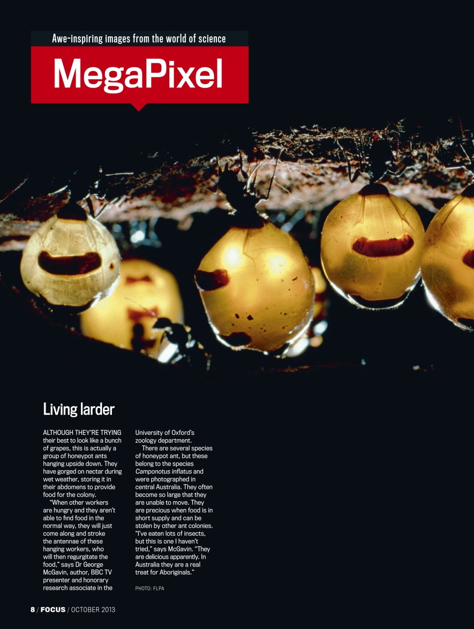 BBC Science Focus Magazine Preview Pages