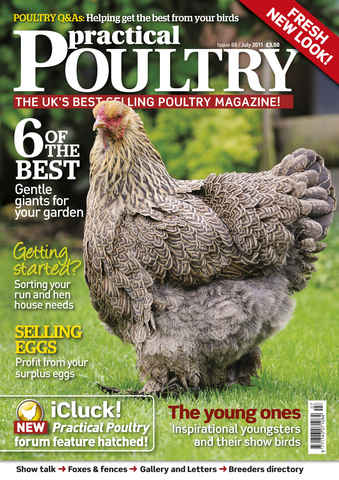Practical Poultry issue 88