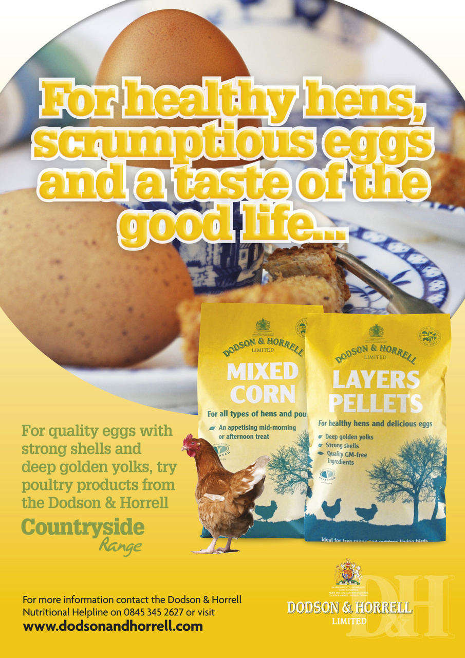 Practical Poultry Preview Pages